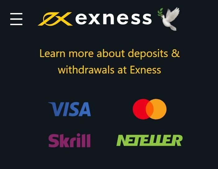 Different Account Types Available for Exness Registration